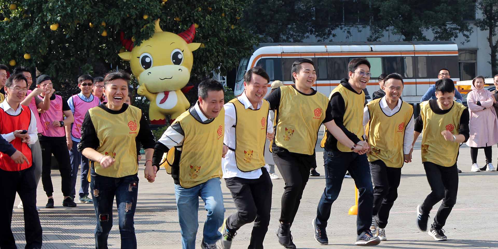 三亿体育
内页图1.jpg